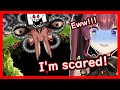 Marine vs Omega Flowey - Houshou Marine【 Hololive ▷ Eng sub】