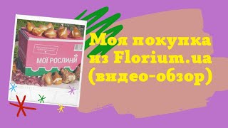 Моя покупка из Florium (видео-обзор) #тюльпан #нашадача #florium #самаяудачнаядача