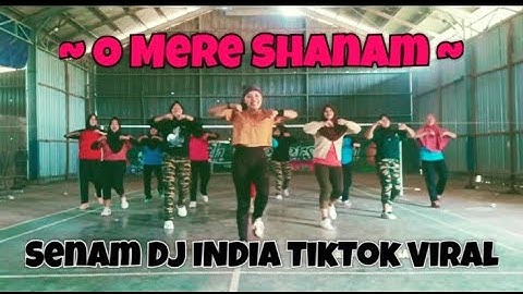 O MERE SANAM | SENAM LAGU INDIA VIRAL TIKTOK 2023
