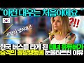 한국 버스 처음 탄 미녀 유튜버가 한국인의 충격적인 행동 보고 눈물 터진 이유ㅎㄷㄷ