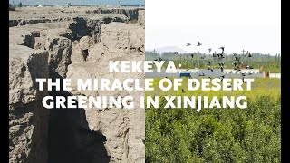 Kekeya The miracle of desert greening in Xinjiang