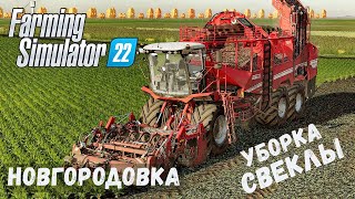 FS22 - НОВГОРОДОВКА.  Уборка СВЕКЛЫ # 37