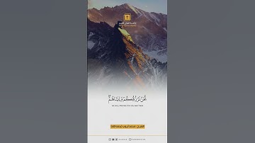 تلاوة خاشعة للشيخ محمد أيوب رحمه الله