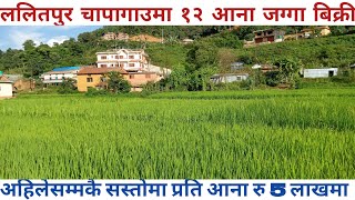 ललितपुरमा जग्गा बिक्री|land sale in lalitpur|gharjagga kathmandu|Real estate house sale in nepal|NPL