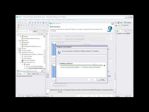 IBM Rational Software
