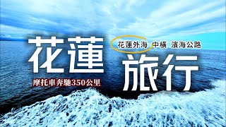 🐬體驗海豚共舞的感動🔥開箱花蓮百元飯店🔥吉安百萬夜景私房景點｜最親民的花蓮車站貴賓室｜東大門美食免排隊秘訣｜花蓮❌中橫❌海岸公路｜TAIWAN｜花蓮三天兩夜DAY1🛵｜