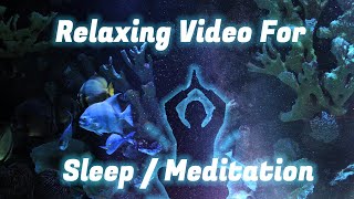 1-Hour Relaxing Video With Music, Sleep/Meditation. Better Sleep, Meditate, Fish In Aquarium Video