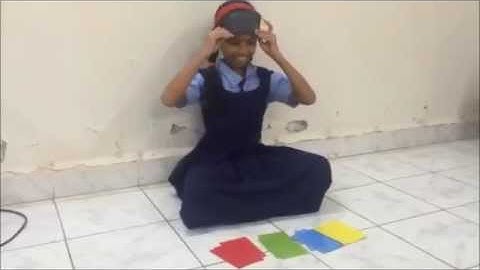 Blindfold Exercise - Colour Identification