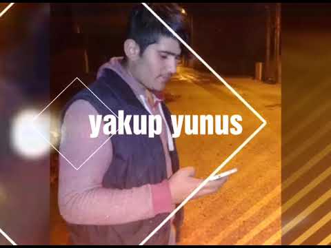 Vay deli kanlı gönlüm vay