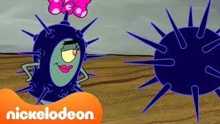 Bob Esponja | El Crustáceo Cascarudo es dominado por ERIZOS DE MAR  | Nickelodeon en Español