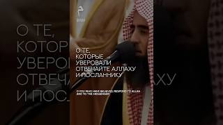 Сура аль-Анфаль: 24-25. Чтец: Мухаммад аль-Люхайдан.
