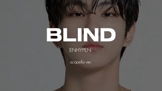 ENHYPEN - BLIND (clean acapella)