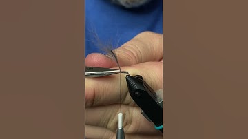 This is an Awesome CDC Winter Fly Pattern
