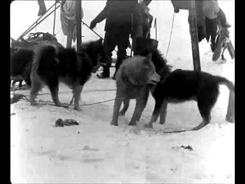 Download Roald Amundsens sydpolsferd