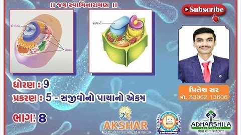 STD:9 SCIENCE CH:5 સજીવોનો પાયાનો એકમ PART:8 GUJARATI MED. NCERT