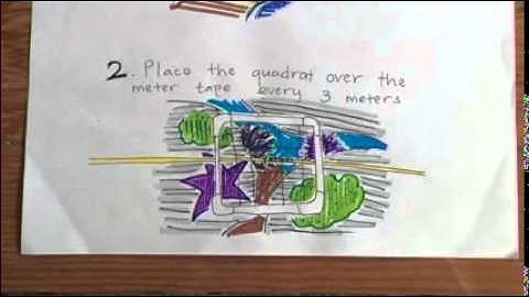LiMPETS Rocky Intertidal Monitoring Methods