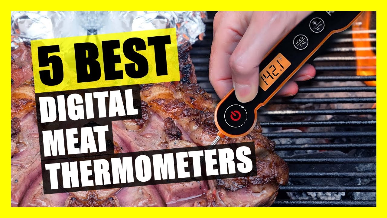 5 Best Digital Meat Thermometer [2023] 