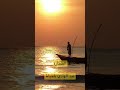عبد الهادي بلخياط الصنارة