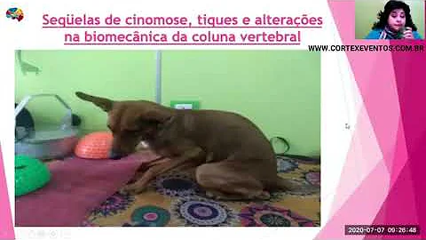 Quais são as sequelas da cinomose canina?