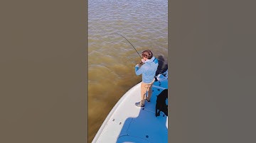 Cooler water temps and normal tide levels have the inshore bite heating up!  #redfish