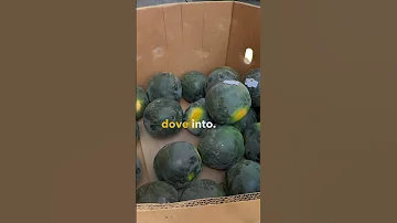 LIVE In The Collective Receiving Pricing Out A Bin Of Produce 
