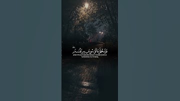 ﴿استحدموا الصوت﴾ 🌿 تلاوة مؤثرة تهز القلوب | نور القرآن