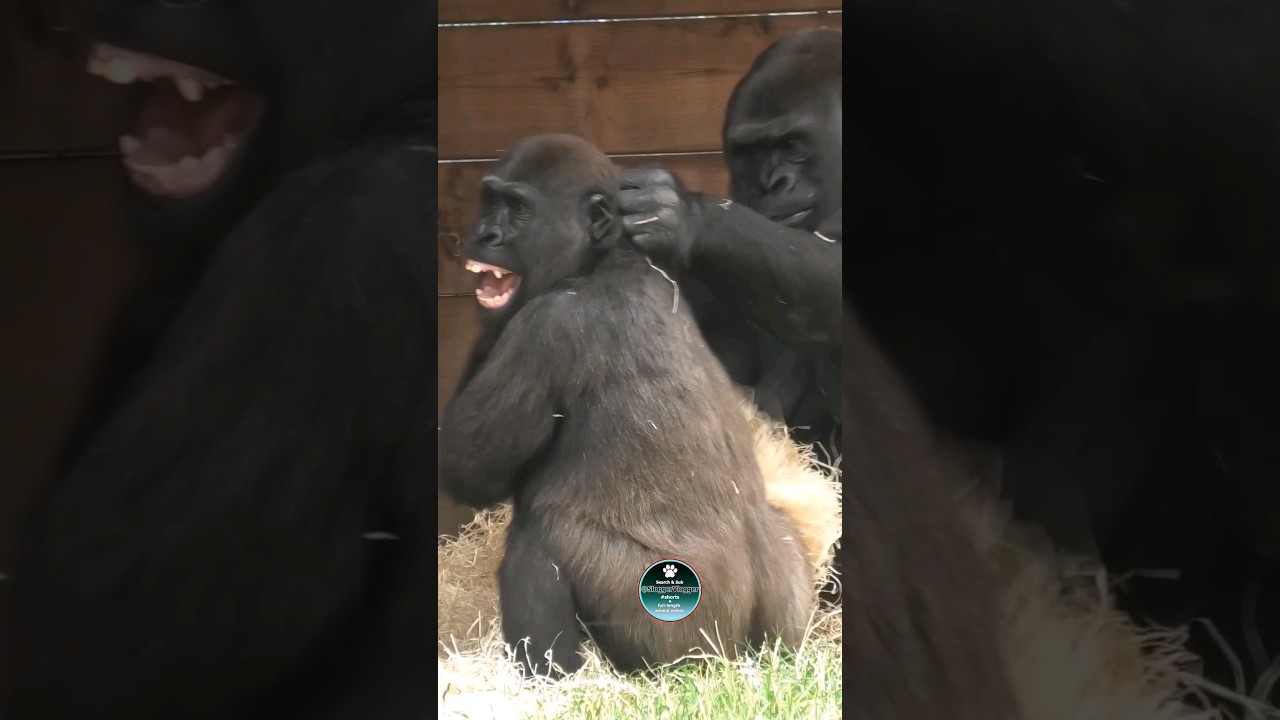 Mum Had Enough Of Sons Antics