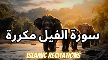 سورة الفيل لهلاك العدو الظالم الساحر مكررة والانتقام ممن ظلمك