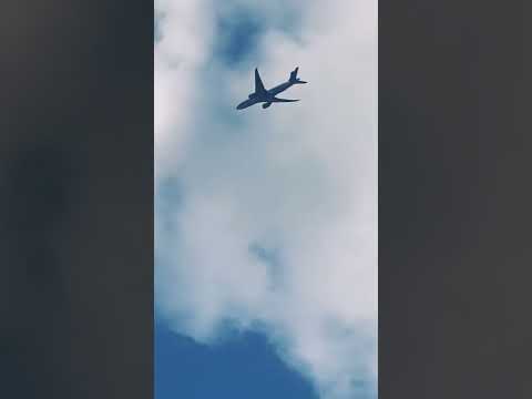 Video: China Southern hara uçur?