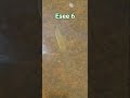 all terrain Esee 6