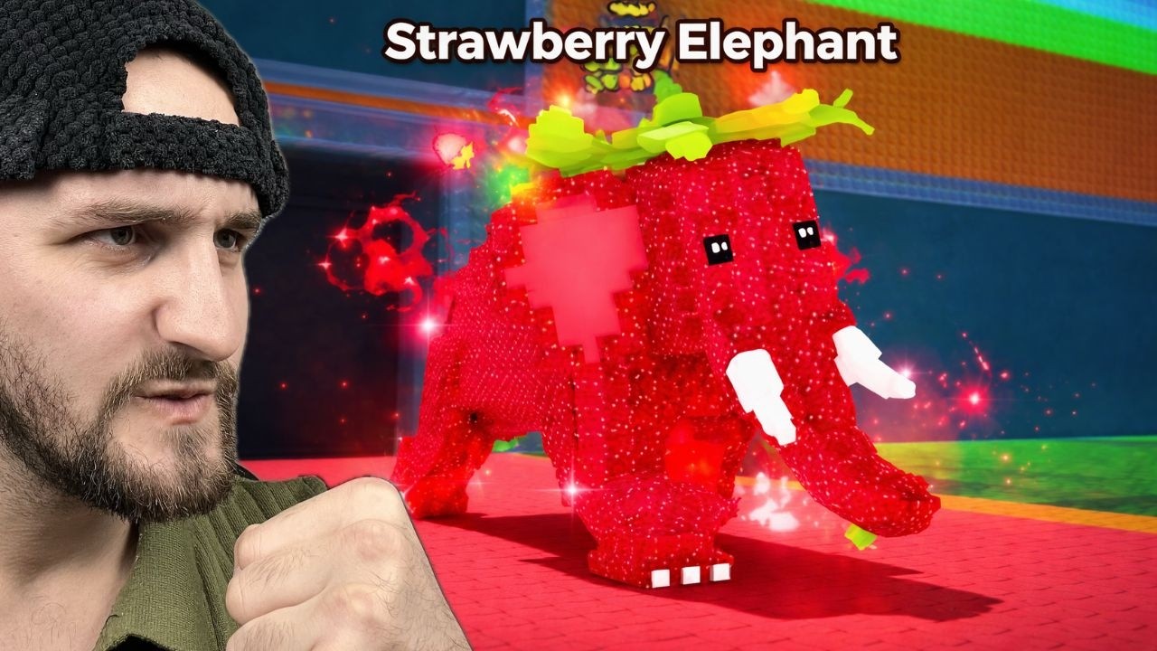 Taco Tuesday Admin Abuse - Nuk morem Strawberry Elephant Për Pak | STEAL A BRAINROT