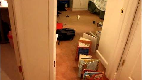 World record book domino fall (shortest distance)