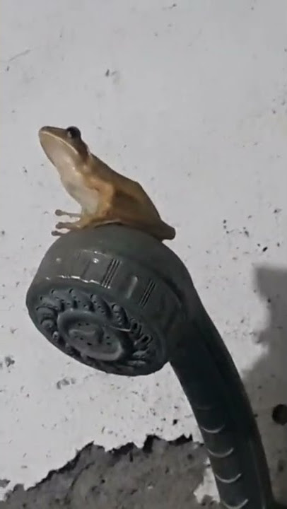 ASTAGHFIRULLAH.....!!!TERTANGKAP CAMERA..!!!!PENAMPAKAN PENUNGGU KAMAR MANDI...