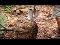 How to Plant a Tree, Part 1 Lawn Garden Care