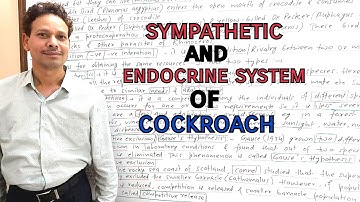 Sympathetic Nervous/ Endocrine System of Cockroach(Periplaneta) | For IAS,NEET,GATE,NET and BSc