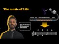 Change dna sequence into music