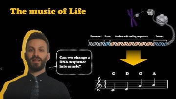 Change DNA sequence into music
