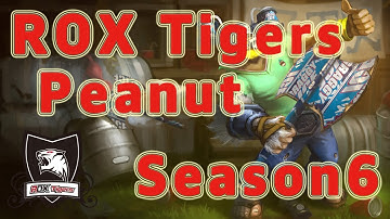 ROX Tigers Peanut Olaf Jungle vs Nidalee Patch 6.19 in NA