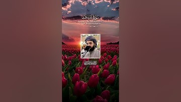 "إنَّ المُتَّقِينَ فِي ظِلَالٍ وَعُيُونٍ" تلاوة خاشعة بديعة لخواتيم سورة المرسلات - الشيخ رعد الكردي