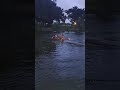 Horse Takes Woman into Pond and Comes Out Without Her - 1500117