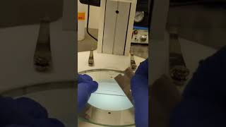 Cutting needle for microinjection of zebrafish embryos