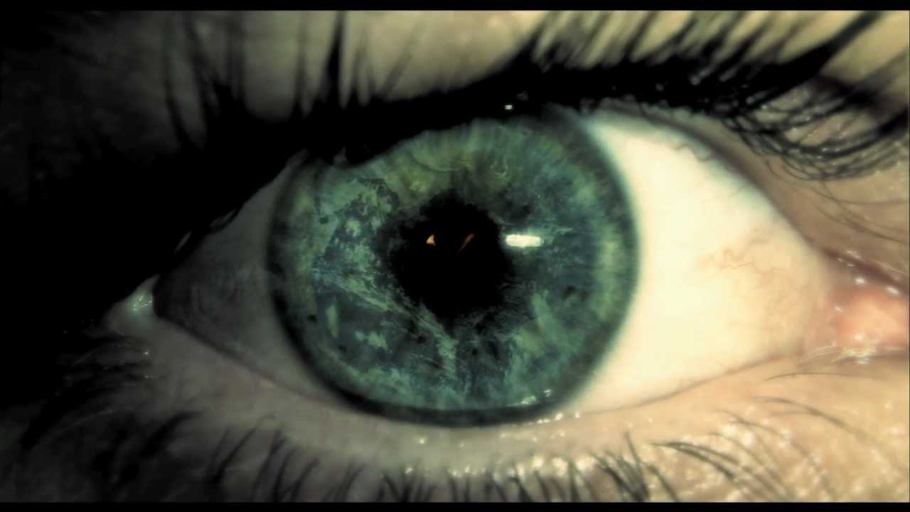 ピラミッド（アメリカ1955） : ヴィオール