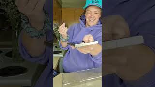 sry for the quality of this video, i had to use an old phone so I could install the new magic john