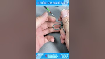 NÚT THẮT CÂU CÁ XU HƯỚNG 2024#Youtube shorts Đồ Câu Hải Đăng