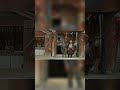Shangri-La (Paradise Under Construction) | OUT NOW