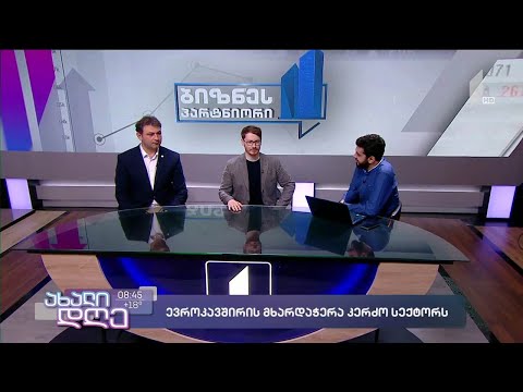 ევროკავშირის მხარდაჭერა კერძო სექტორს