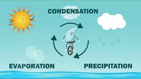The Water Cycle Song | Science Songs | Scratch Garden
