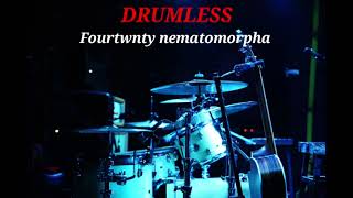 FOURTWNTY NEMATOMORPHA - DRUMLESS 