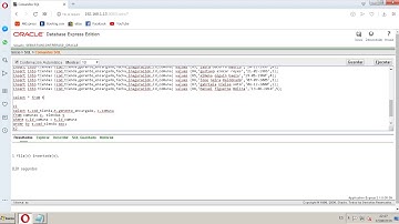 creacion de base de datos y consultas sql  servidor oracle 10g xe