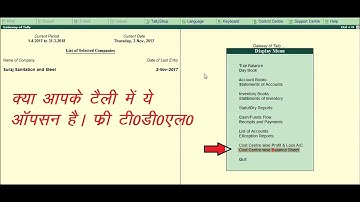FREE TDL || COST CENTER WISE P&L AND BALANCE SHEET IN TALLY ERP9 6.2